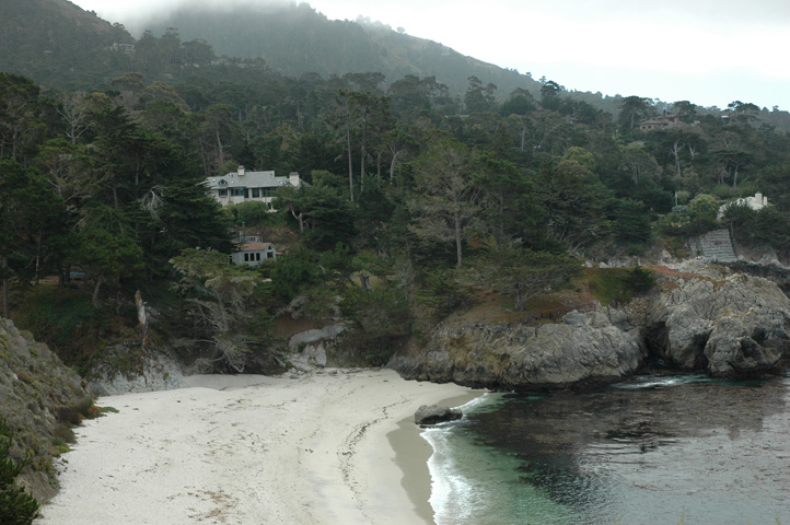 Point Lobos 037.jpg